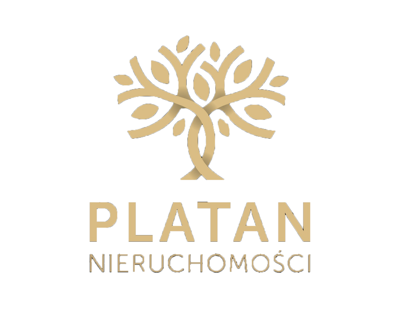 Platan Nieruchomości